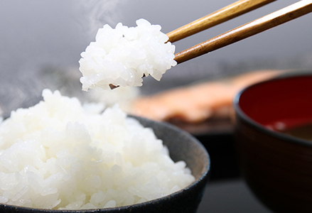 《令和７年産 新米 先行予約》田代農園『長狭米コシヒカリ（一等米）』【精米15kg】　[0045-0004]
