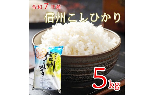 
                  令和7年産 長野県長和町産こしひかり5kg(キロ) 精白米　農家直送　冷めてもおいしいお米
                