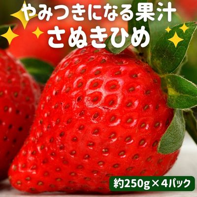 【ふるさと納税】いちご さぬきひめ 苺 1kg 250g×4パック 果物 フルーツ くだもの イチゴ さぬき姫 ジューシー 果汁 甘い ケーキ ジュース ゼリー アイス ジャム デザート スイーツ ふるさと納税いちご ふるさと納税フルーツ 国産 香川県 丸亀市 発送期間：2月以降発送開始
