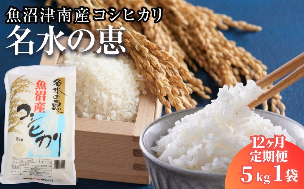 【12ヶ月定期便】【令和8年産】魚沼津南産コシヒカリ「名水の恵」5kg
