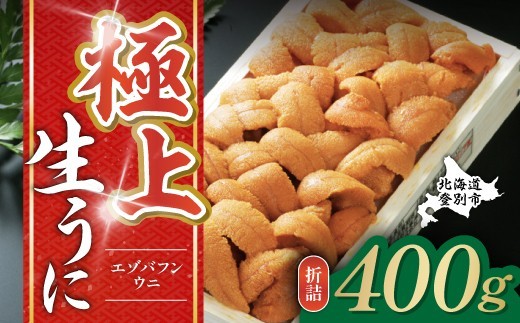 
                  極上エゾバフンウニ折詰 400g 生うに バフンウニ うに 高級 ウニ 雲丹 生ウニ エゾバフンウニ 人気 ふるさと納税 北海道 登別市
                