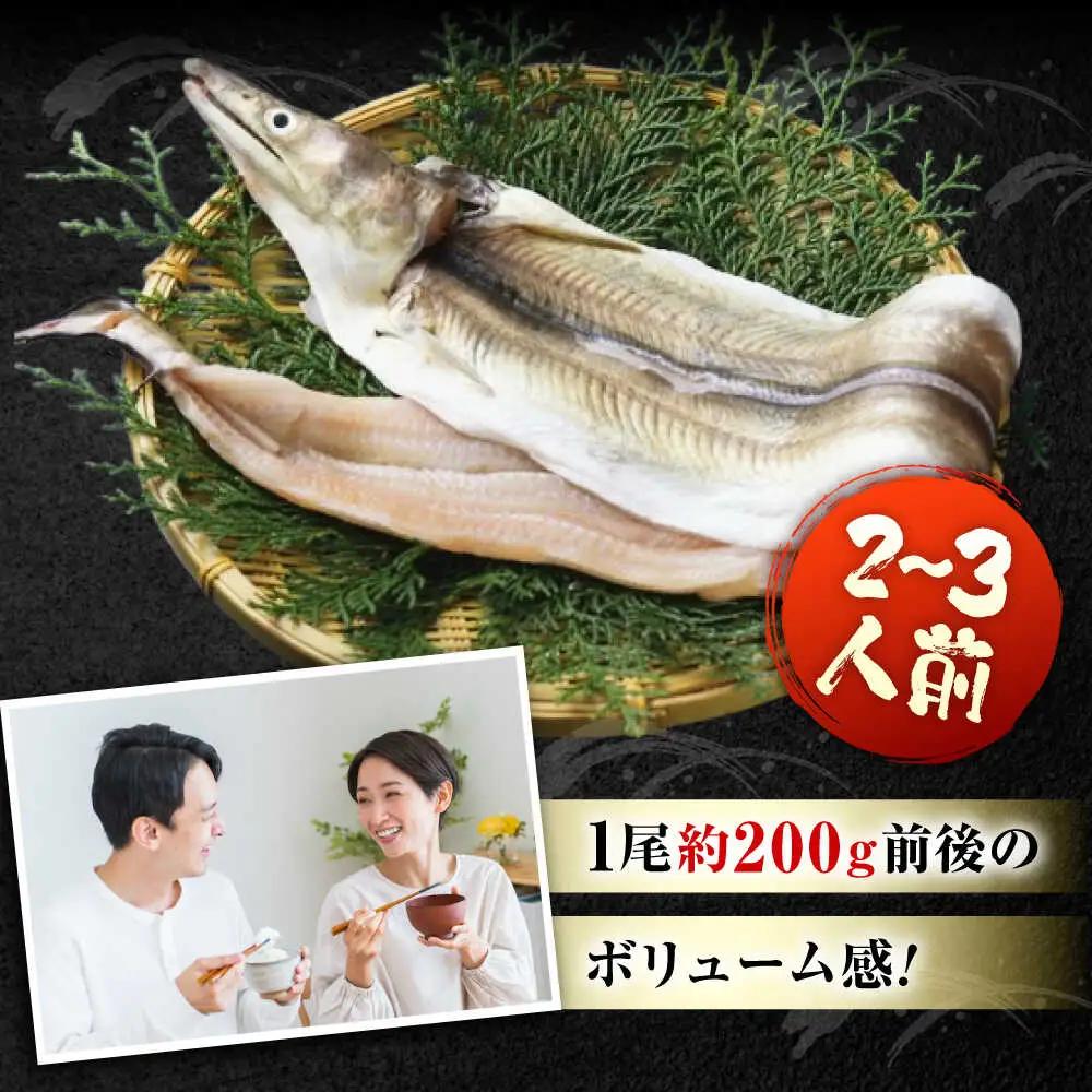 惣菜 味醂干し 瀬戸の鱧 [BACH006]惣菜