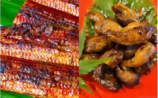 特大うなぎ蒲焼き1本と肝たれ焼きのセット/ 和歌山 田辺 うなぎ 鰻 かば焼き うな丼 うな重 国産 鰻丼 特大【kpy012】