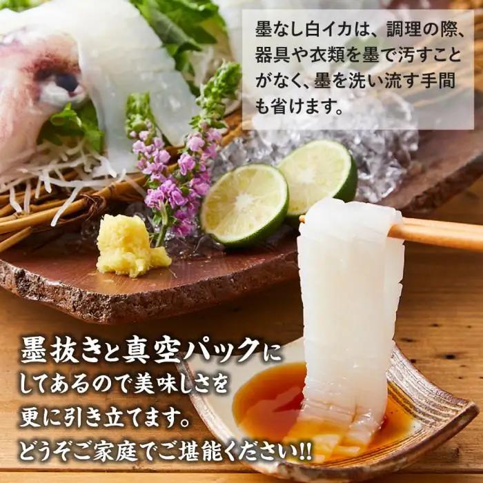 先行予約 2026年7月以降発送 白輝姫（しらきひめ）下処理 墨抜き済み 剣先いか（白イカ）1kg（3〜4杯）