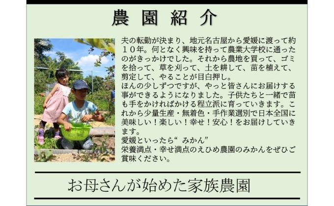 【数量限定　先行予約】訳あり甘平サイズ不揃い約3キロ家庭用　１月上旬頃～順次発送〈産地直送　愛媛県　甘い　みかん　フルーツ〉