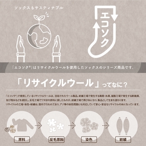 エコソク レッグウォーマー 2足組 （まったりカラー） レディース ／ 靴下 ソックス 足首ウォーマー ウール 暖かい 奈良県 葛城市【mika053】