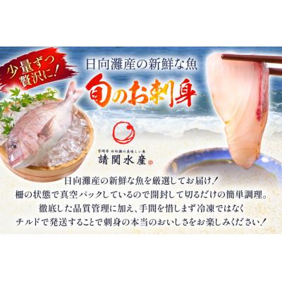 ふるさと納税 日向市 【毎月定期便】刺身 柵 旬のお刺身　全12回 |  | 02