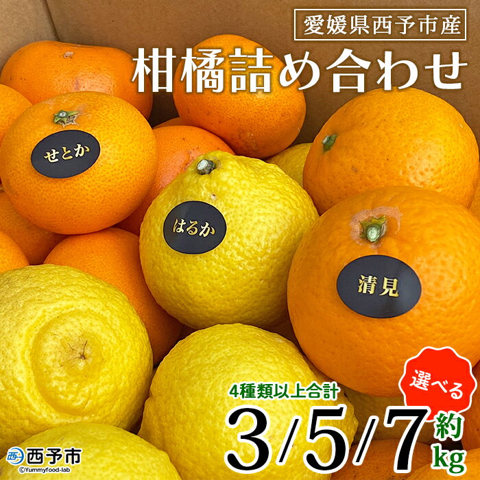 【ふるさと納税】＜愛媛県西予市産 柑橘詰め合わせ 合計約3kg／5kg／7kg＞ 果物 フルーツ お任せ おまかせ お楽しみ みかん ミカン 蜜柑 食べ比べ 詰合せ セット ご家庭用 柑橘 特産品 夕焼け山農園 愛媛県 西予市 【常温】『2026年1月上旬～3月下旬迄に順次出荷予定』