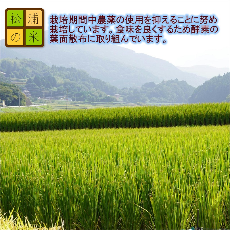 《生活応援企画》松浦の寒暖差が味の決め手!特A評価獲得の品種「なつほのか」棚田浮立の里のお米5kg( コメ 米 なつほのか 白米 精米 国産 送料無料 )【B0-266】