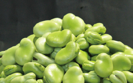 2026年1月中旬～発送 さや付き そら豆 約4kgと スナップエンドウ 約1kgのセット アグリスタイル 022-1213 そらまめ ソラマメ えんどう エンドウ 野菜 旬 サラダ 冬 指宿 鹿児島