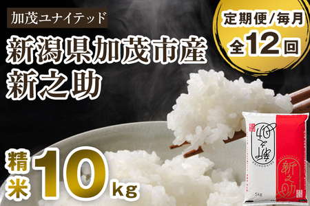 【令和8年産新米先行予約】【定期便12ヶ月毎月お届け】新潟県産 新之助 精米10kg（5kg×2袋）《10月上旬から順次出荷》