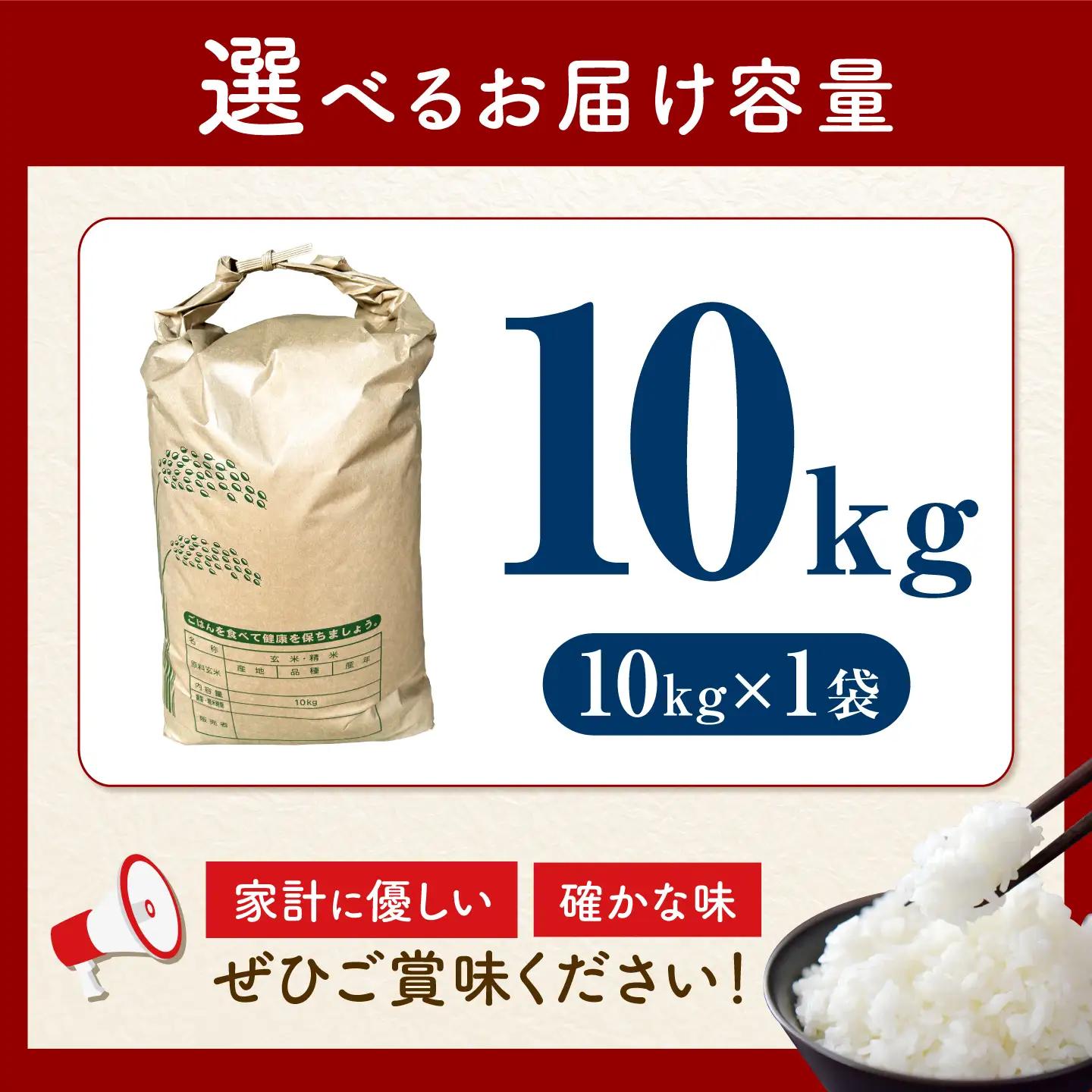 【令和8年産新米予約】【特Aランク受賞実績あり！】はるみ 10kg【井上農園】 米 お米 精米 白米 はるみ[BDBB006-2]