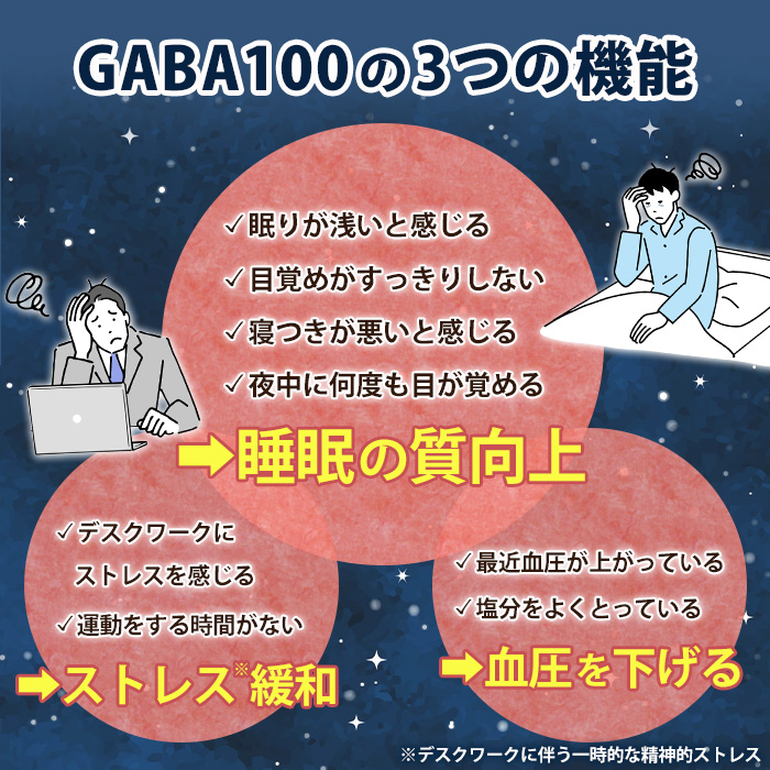 No.1294 ＜機能性表示食品＞GABA100(1袋 62粒入り)  鹿児島 日置市 健康食品 栄養バランス 食生活 安心安全 ストレス緩和 高血圧 サプリメント GABA ギャバ 【てまひま堂】