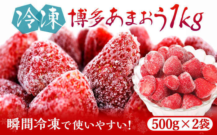 
福岡県産【博多冷凍あまおう】約500g×2袋 合計約1kg《築上町》【株式会社H&Futures】 [ABDG005] 10000円 1万円
