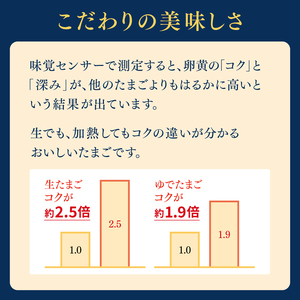 たまご 【たまごと匠】 赤玉 40粒（2箱）