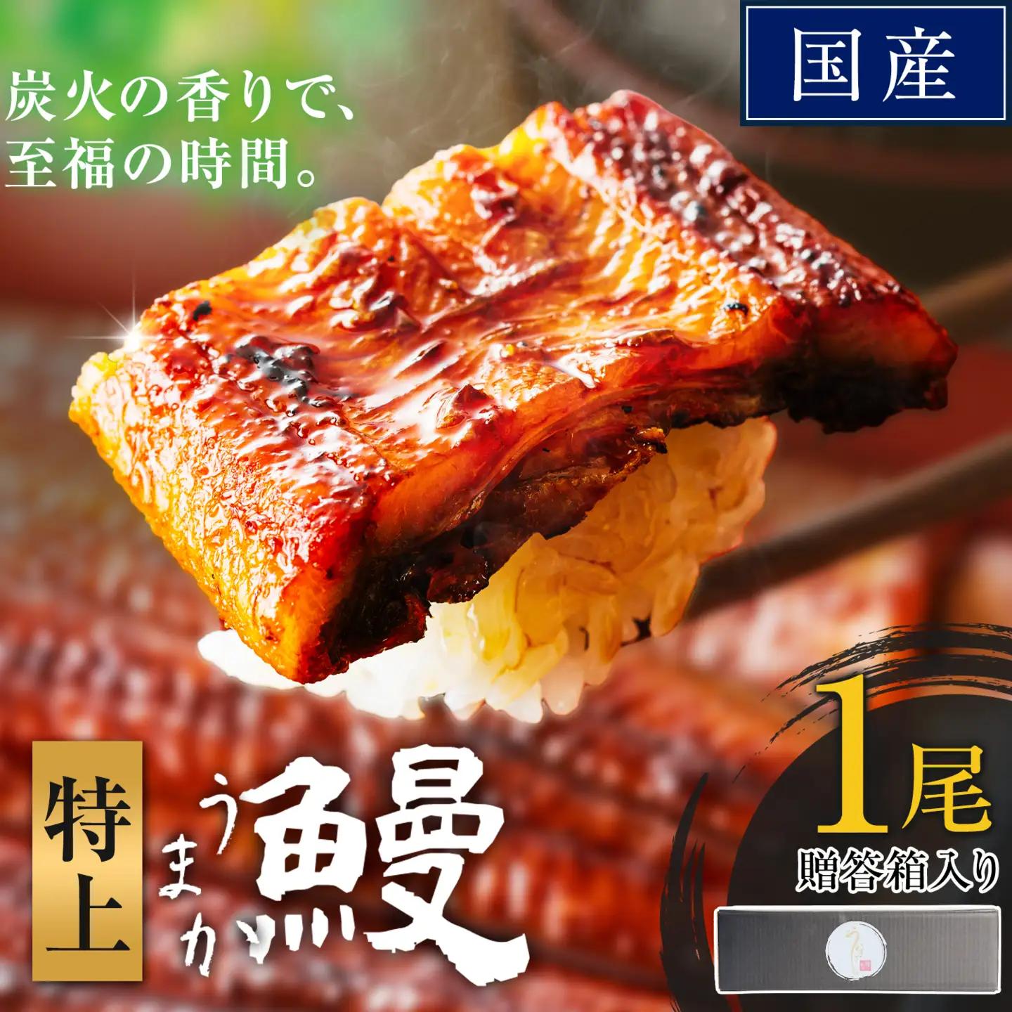 うなぎ 特上サイズ 1尾 贈答箱入り 鰻 《30日以内に出荷予定(土日祝除く)》