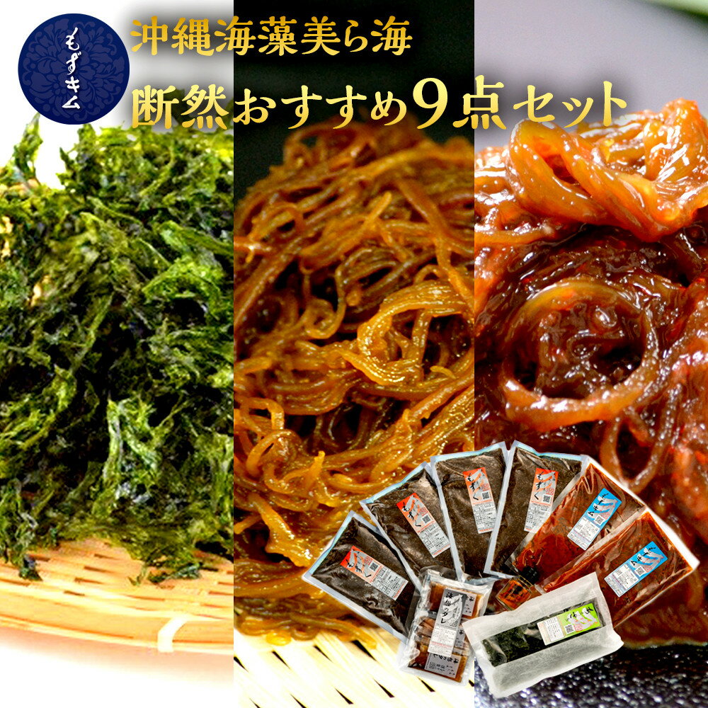 【ふるさと納税】もずキムの沖縄海藻美ら海断然おすすめ9点セット | 魚介類 水産 食品 人気 おすすめ 送料無料 緊急支援