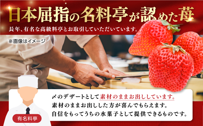 【先行予約】 煌稀の果実  特大 苺 約600g (9または12粒)  高知市春野町産 〈2027年1月中旬～2027年3月中旬頃発送〉 /  いちご イチゴ 果物 フルーツ 【森強のいちご農園】 [