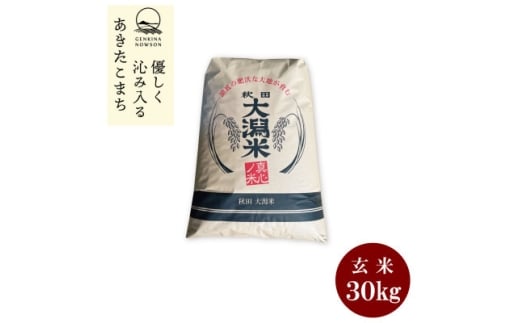 ＜毎月定期便＞秋田県産　あきたこまち1等　玄米30kg全6回【4073011】