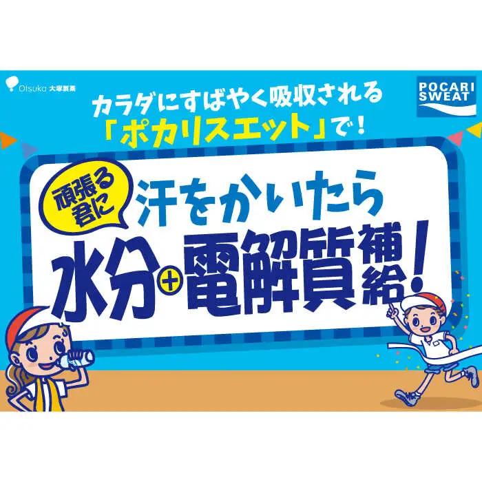 ＜6回定期便＞ポカリスエット 500ml×24本 ポカリスエット イオンウォーター900ml×12本セット 【大塚製薬】  ポカリスエット ポカリ スポーツドリンク スポーツ飲料 ドリンク 飲料[FB
