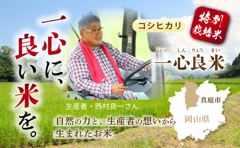 【令和8年産米】 真庭市産コシヒカリ 米ぬか 牡蠣殻栽培  一心良米 無洗米 5kg / お米 岡山県 こしひかり 人気 ブランド 2026年産 【tkns011-02】