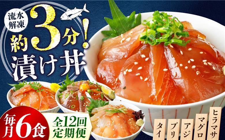 【12ヶ月 定期便】漬け丼 3種×2パック 計6食セット | 定期便 漬け丼 海鮮 惣菜 冷凍 真空パック 小分け 海鮮丼 海鮮セット 詰め合わせ 旬の鮮魚 ハマチ カンパチ カツオ 鯖 サバ ヒラマ