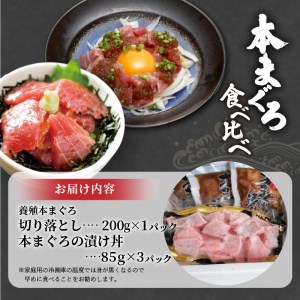 鷹島産本まぐろ食べ比べ「切落し200gと漬け丼85g×3P」（マグロ 本マグロ 鷹島産本マグロ まぐろ 本まぐろ 鷹島産本まぐろ マグロ丼 まぐろ丼 本マグロ赤身 本まぐろ赤身 本マグロ中トロ 本まぐ