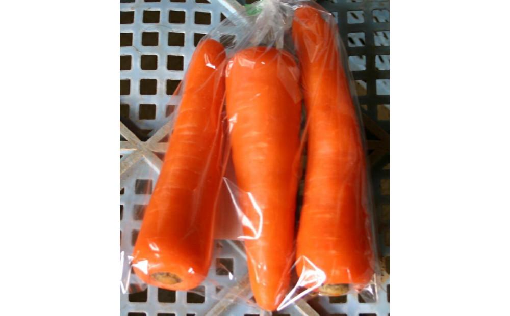 【令和8年産 先行予約】雪国ならではの逸品！津南町の雪下にんじん 3kg 15~20本 127524-088