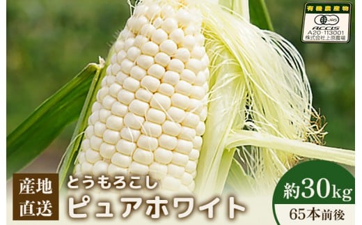 
            【先行予約】上原農場直送 有機栽培とうもろこし (ピュアホワイト)  約30kg 約65本前後 | ふるさと納税 北海道 中標津 なかしべつ とうもろこし ピュアホワイト とうきび コーン 野菜 夏野菜 夏 産地直送 新鮮 採れたて 朝採れ 甘い オーガニックお取り寄せ ワンストップ マイページ 上原農場 中標津町【66018】
          