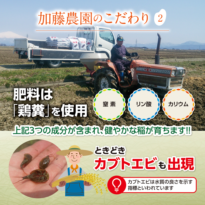 SM0027　【6回定期便】令和7年産 無洗米 特別栽培米 つや姫　5kg×6回(計30kg)10月下旬発送開始「農家直送」 KA