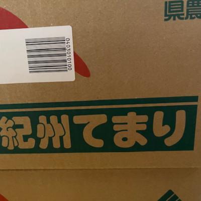 ふるさと納税 那智勝浦町 富有柿の新品種「紀州てまり」約7.5kg(22玉〜32玉おまかせ)【那智勝浦町】 |  | 01