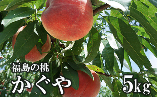 
            No.1516福島のもも「かぐや」約5kg【2025年発送】
          