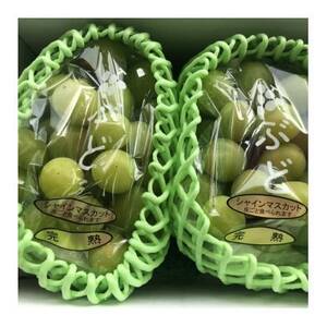 和歌山県産完熟シャインマスカット約1kg【2026年度発送分】(日高町)【配送不可地域：離島・北海道・沖縄県】【1663127】