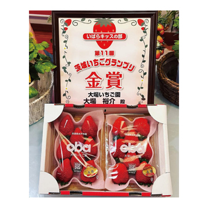 【12月中旬より順次発送】【数量限定】茨城県オリジナル品種『いばらキッス』DX300g×2パック【いちご 苺 フルーツ 果物 くだもの 水戸市 茨城県】（DO-3）