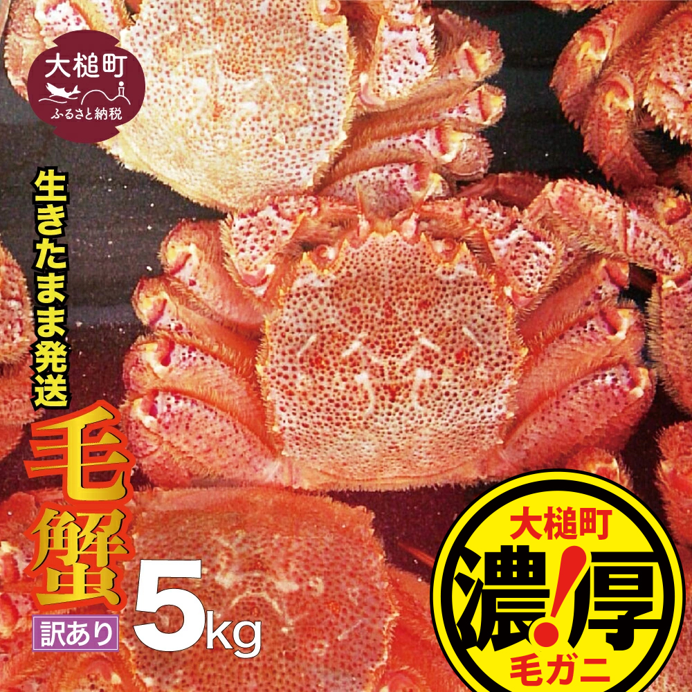 【訳あり】【令和8年発送】三陸産！活毛ガニ 5kg【2026年2月~4月発送】【配送日指定不可】