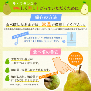 山形県産 ラ・フランス 秀品 約3kg(6～12玉) FY24-027