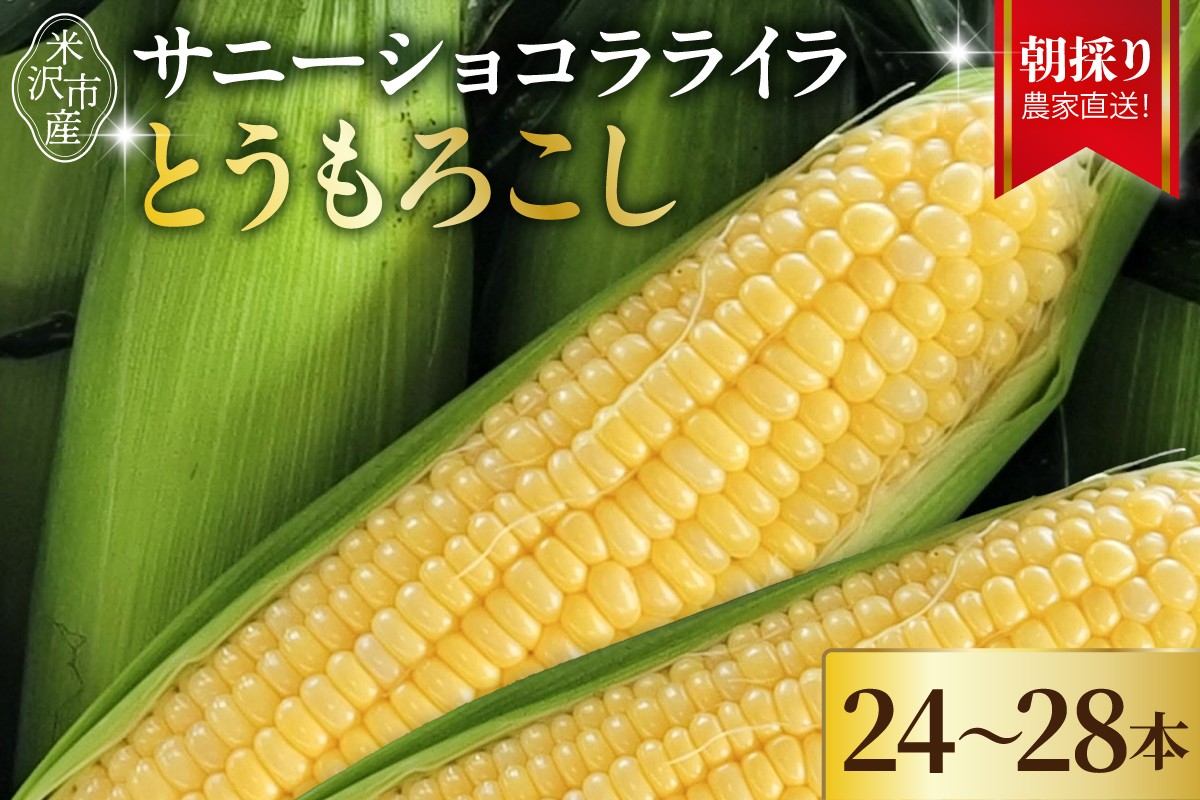 
            【先行予約】 令和8年産 とうもろこし 24本 ～ 28本 サニーショコラ ライラ 2026年7月中旬～8月中旬頃お届け予定
          