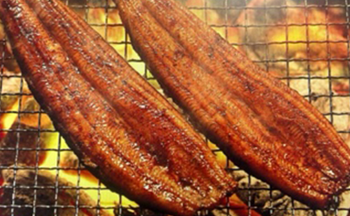 浜名湖産鰻　蒲焼 約140g×2本・鰻佃煮120g セット 土用の丑の日 丑の日