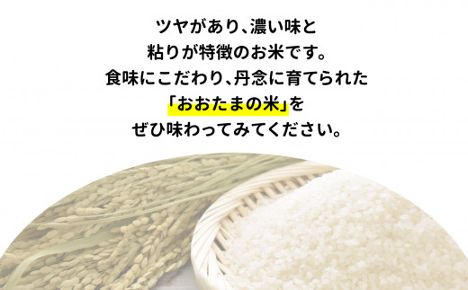 パックご飯 150ｇ コシヒカリ × 10個 ｜ パックライス レンジアップご飯 こしひかり 1合 アウトドア キャンプ 湯せん可 非常食 保存食 米 災害 備蓄 小分け 簡単 便利 時短 レンチン ごはん ご飯 福島県 大玉村 ｜ as-pr10-R7