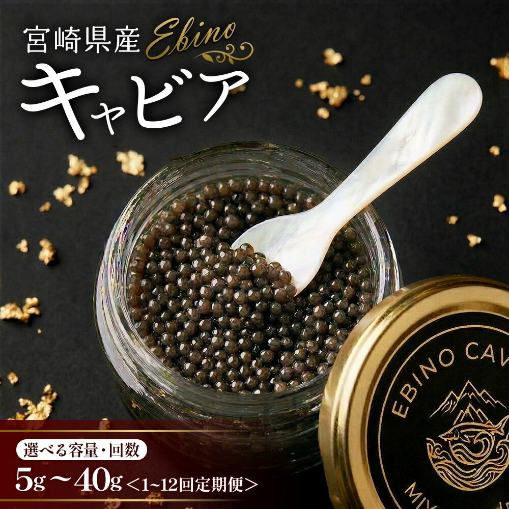 【ふるさと納税】キャビア 国産 20g 40g 選べる回数 定期便 冷凍 宮崎県 えびの市産
