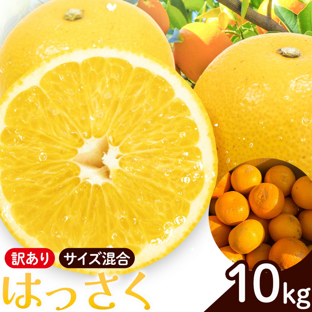 【ふるさと納税】訳あり はっさく サイズ混合 10kg エイワ商店《2月中旬-3月中旬頃出荷》和歌山県 日高川町 送料無料 しらぬい 柑橘類 フルーツ 果物 柑橘 ご家庭用