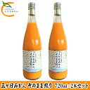 【ふるさと納税】三ヶ日みかん そのまま絞り 2本セット（720ml×2本セット） みかん ジュース 100%　果物類・みかん・柑橘類・果実飲料・ジュース