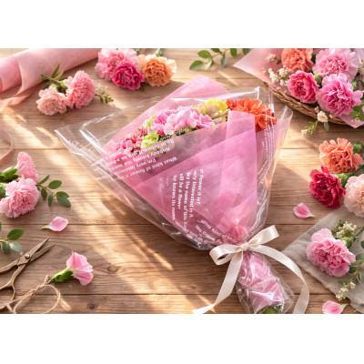 ふるさと納税 西尾市 【母の日までにお届け(4/20までに決済完了)】生産者直送　想いを届けるカーネーション花束・T164