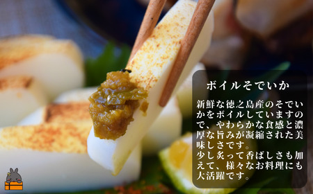 徳之島の漁師が荒波で釣り上げたそでいか 5種の極み ボイル・スモーキー・いかキムチ・つけあげ ・炙りげそ（ ５つの美味しさ ソデイカ いか イカ ）