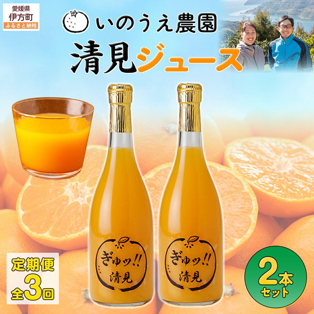 【ふるさと納税】【定期便】いのうえ農園 清見ジュース2本セット 全3回※離島への配送不可 【ふるさと納税 人気 おすすめ ランキング 柑橘 みかん みかんジュース 清見 清見ジュース 定期便 果物 産地直送 いのうえ農園 愛媛県産 愛媛県 伊方町 送料無料】 IKTAI030