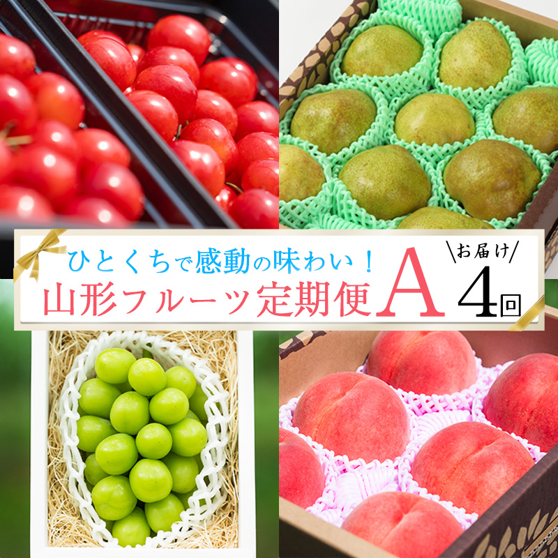《先行予約》特秀品Aコース【定期便4回】 さくらんぼ 佐藤錦 白桃 シャインマスカット 洋梨 ラフランス 令和8年産 山形県産【2026年6月上旬頃から発送開始予定】※配送不可 沖縄・離島 　072-B-AF028