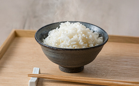 ななつぼし 精米 令和7年産 北海道産 ななつぼし【5kg】