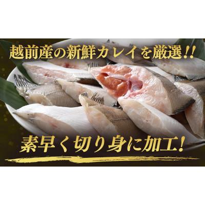 ふるさと納税 越前町 【毎月定期便】【越前海岸・美味直送シリーズ】肉厚!越前産カレイ切り身　1kg入全3回 |  | 01