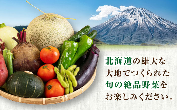  野菜 セット先行予約 夏野菜 秋野菜 季節の野菜 北海道 