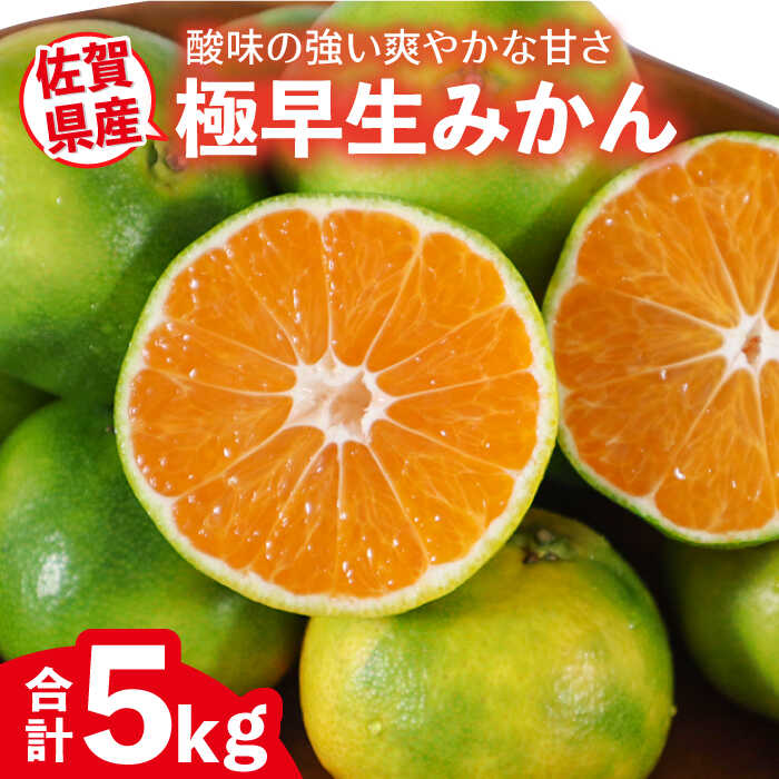 【ふるさと納税】【10月以降順次発送】佐賀県産 極早生みかん 5kg [FBT041]